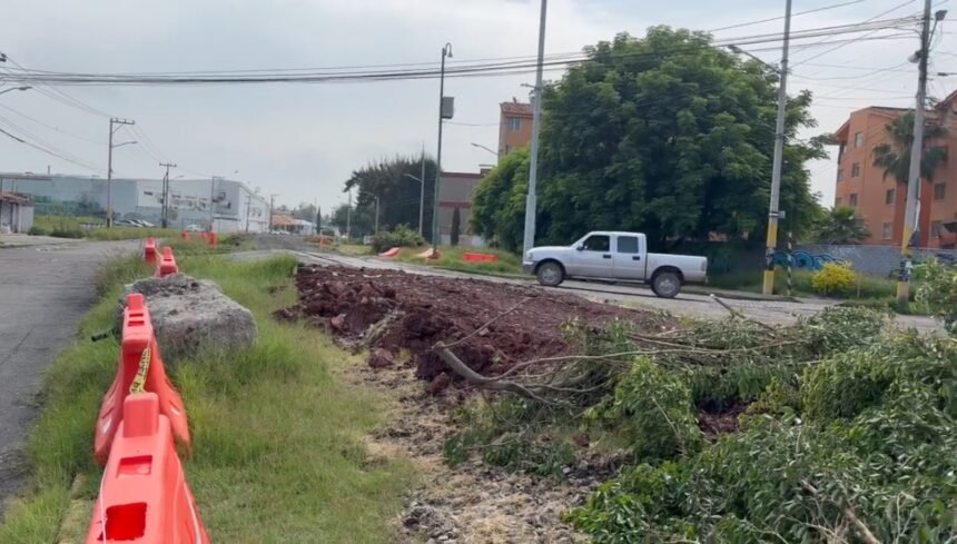 Celaya, Gto.: Protesta por tala de árboles afecta a nuestra comunidad