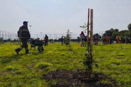 Celaya, Gto. se une a la Mega Reforestación: 3,000 árboles para el bienestar