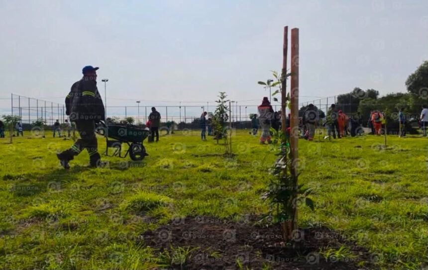 Celaya, Gto. se une a la Mega Reforestación: 3,000 árboles para el bienestar