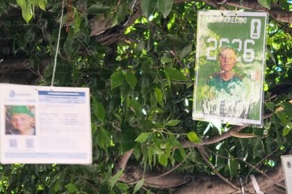 Celaya renueva árbol de la Esperanza para embellecer la ciudad
