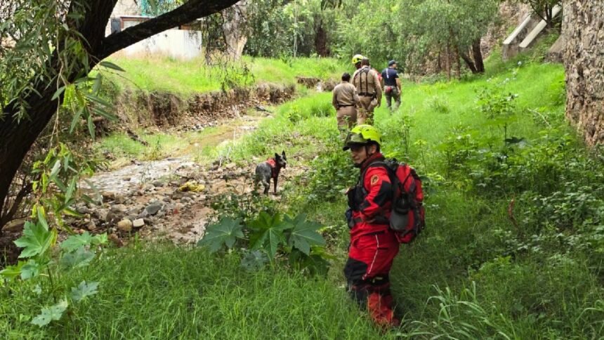Cuerpo hallado en mina de Guanajuato Capital: caso de "El Gallito"