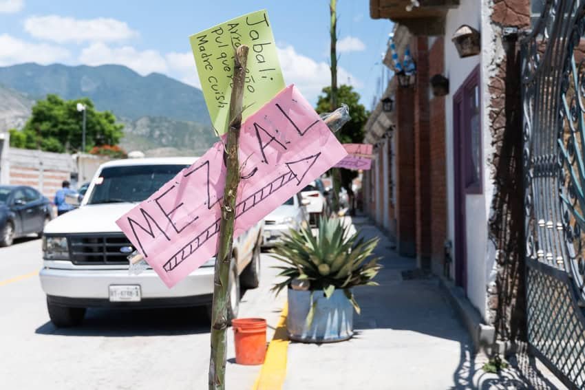 Experience Oaxaca's Mezcal Festivals: A Taste of Tradition in Mexico