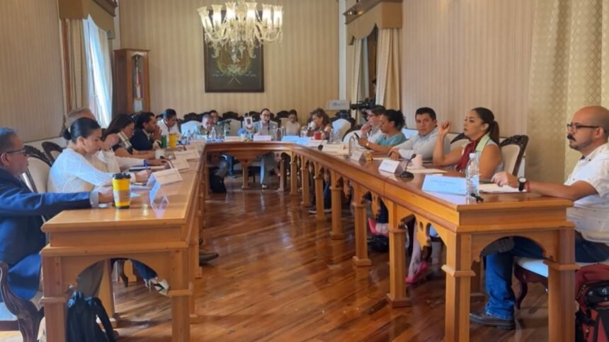 Guanajuato Capital: Aprobación del Cabildo para apoyo a infantes