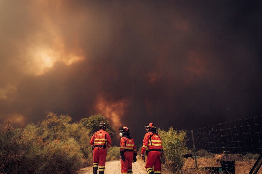 Incendios forestales: Ávila muestra la nueva realidad del fuego en España