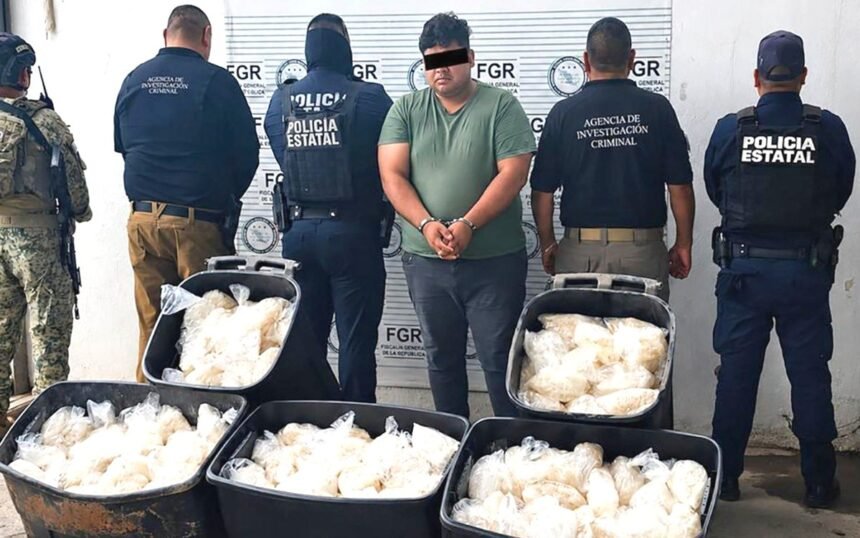 México: Se confiscan 200 kilos de droga en Caborca, impacto en la seguridad