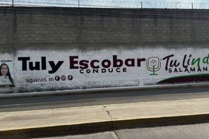 Salamanca, Gto.: Denuncian campaña anticipada con imagen de funcionaria del DIF