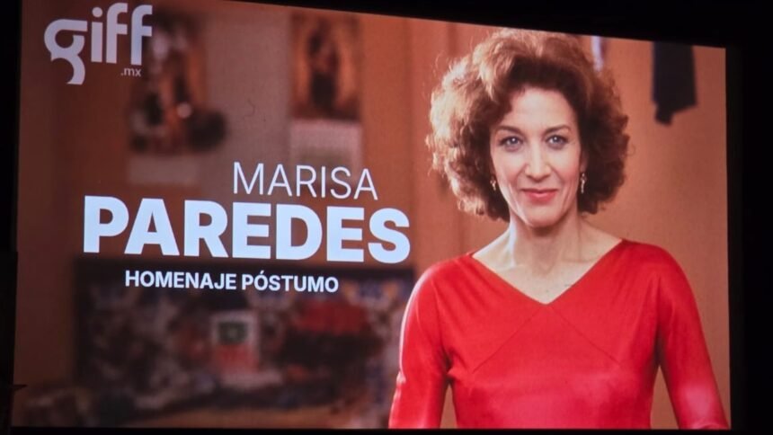 Una emotiva conexión: Revelaciones sobre una gran diva del espectáculo