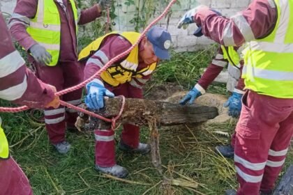 Celaya, Gto.: Encuentran objetos entre basura en drenaje de la ciudad