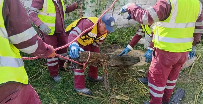 Celaya, Gto.: Encuentran objetos entre basura en drenaje de la ciudad