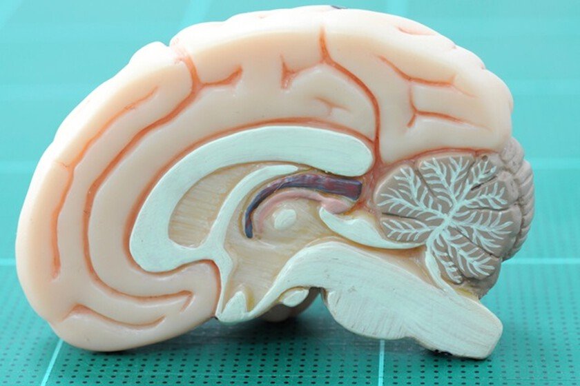 Ciencia revela cómo el trauma infantil afecta la felicidad adulta