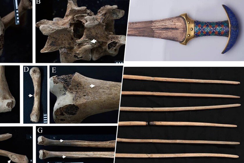 Ciencia revela que princesas del Antiguo Egipto usaron armas