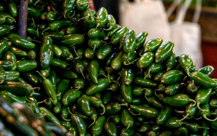 Cofepris asegura que chiles jalapeños de Nuevo León son seguros para México