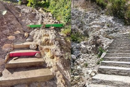 Guanajuato Capital: Impacto de la tala y las escaleras en La Bufa