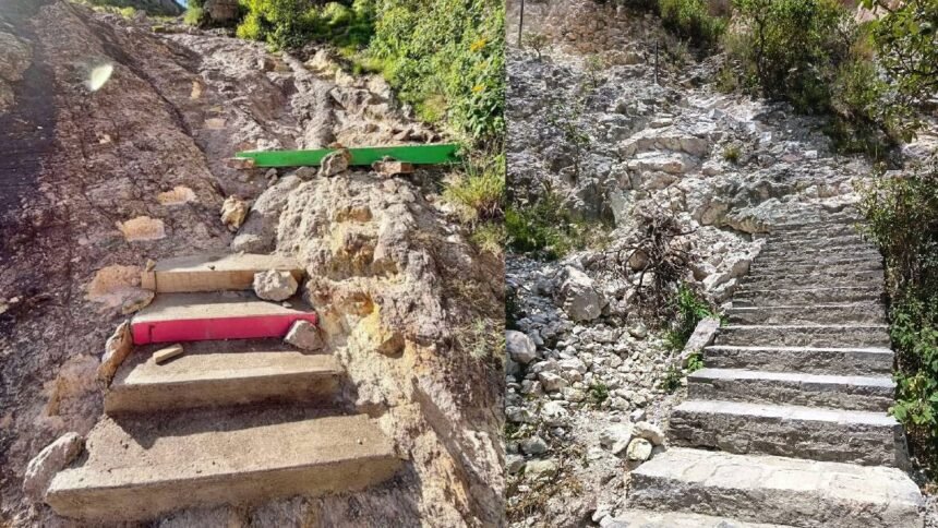 Guanajuato Capital: Impacto de la tala y las escaleras en La Bufa