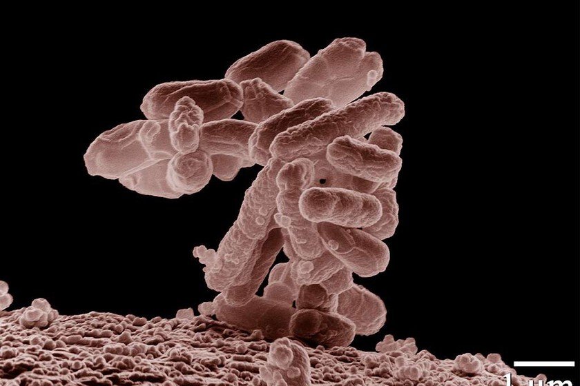 IA genera un virus inédito en la naturaleza: ¿qué significa para ti?
