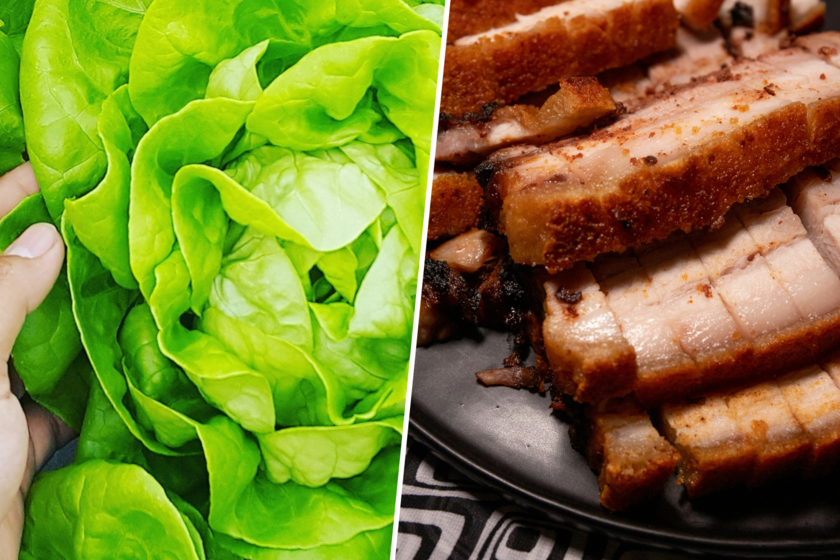 Lechuga transforma en fábrica molecular para producir carne de cerdo