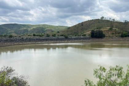 León, Gto.: 2 mil peces muertos en fuga de la presa La Soledad