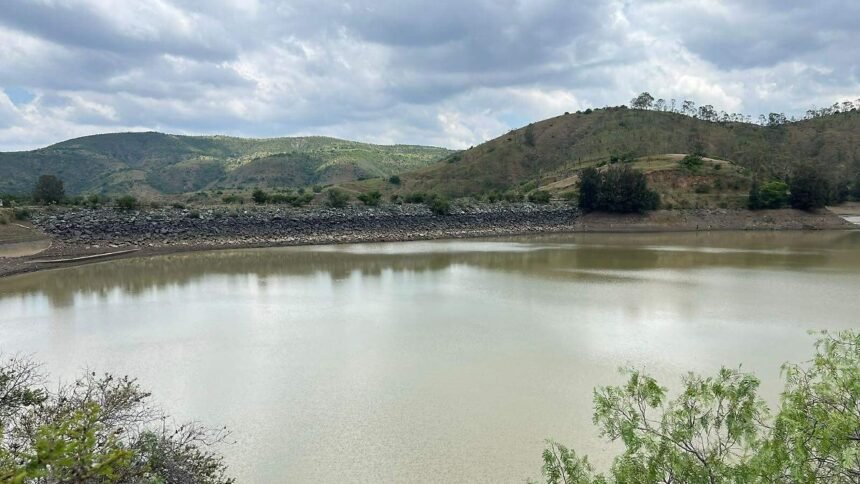 León, Gto.: 2 mil peces muertos en fuga de la presa La Soledad