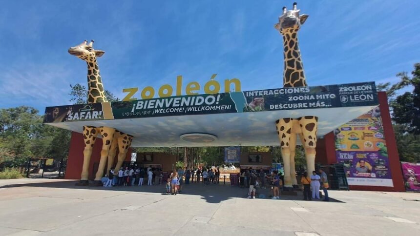León, Gto.: Información del Zoológico y su impacto en la comunidad