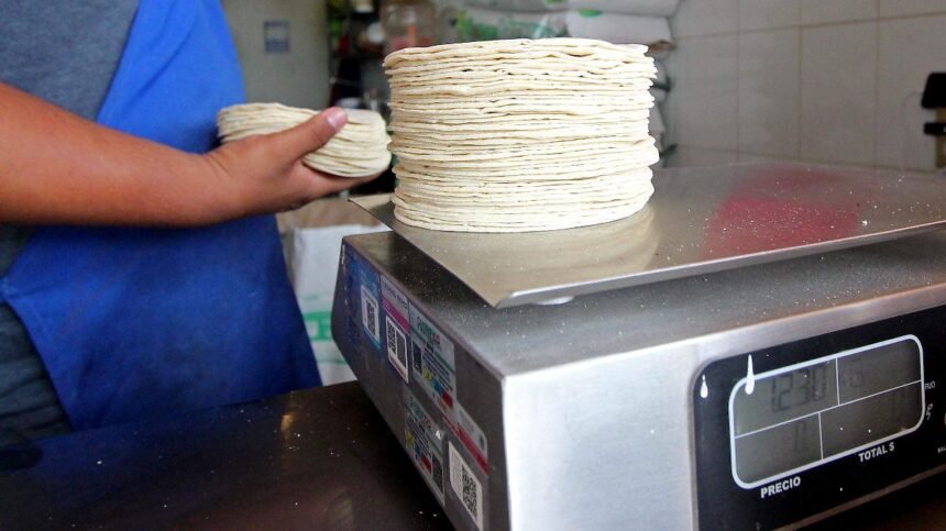 León, Gto.: Precio de la tortilla se estabiliza para el bien de todos