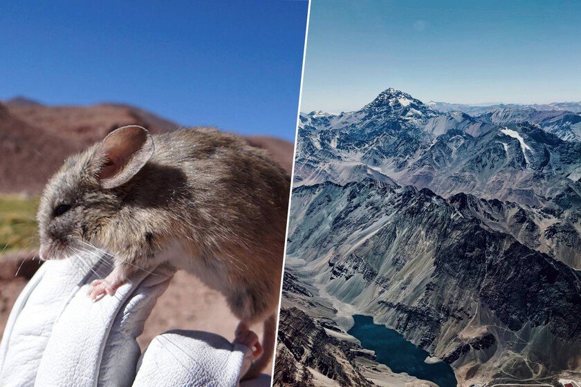 Los Andes: Explorando la tecnología a casi 7.000 metros de altura