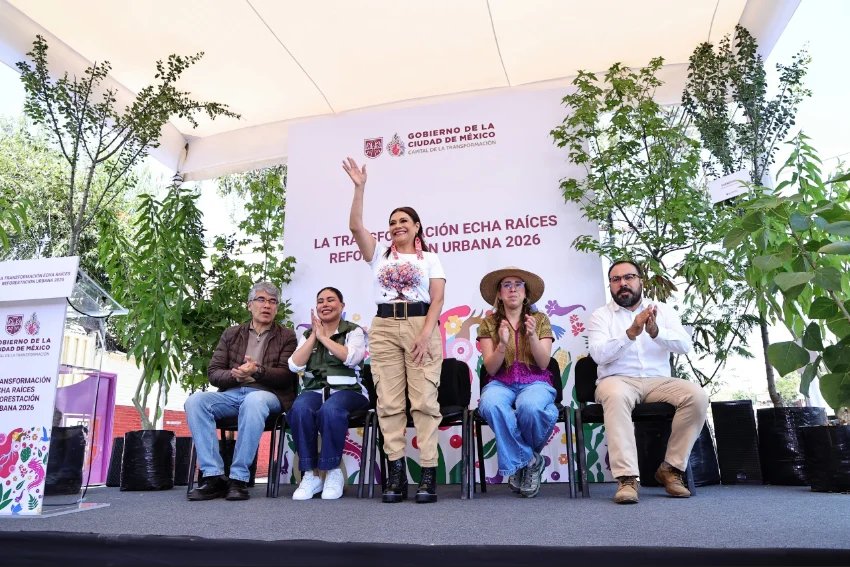 Mexico City Aims to Plant 1 Million Trees for Healthier Families