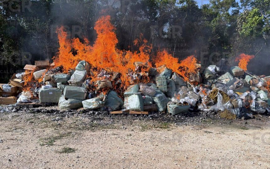 México: Destrucción de 184 kilos de narcóticos en Quintana Roo beneficia a la comunidad