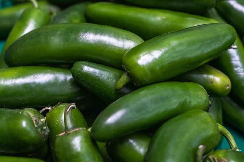 Mexico's Taylor Farms Issues Jalapeño Recall for Consumer Safety