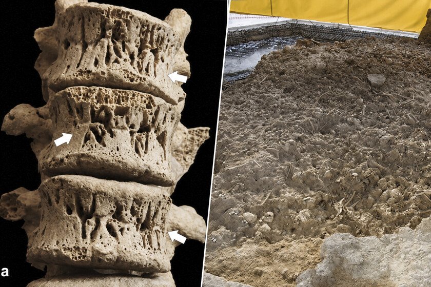 Murcia: Descubren la tumba más grande de la Edad del Cobre en Europa