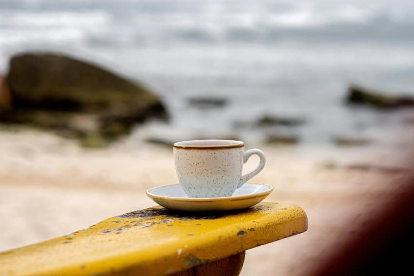 Veracruz's Coffee Legacy: A Brewed Renewal for Local Families