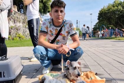 Celaya, Gto.: Benefíciate de las Mega Campañas de Esterilización Animal