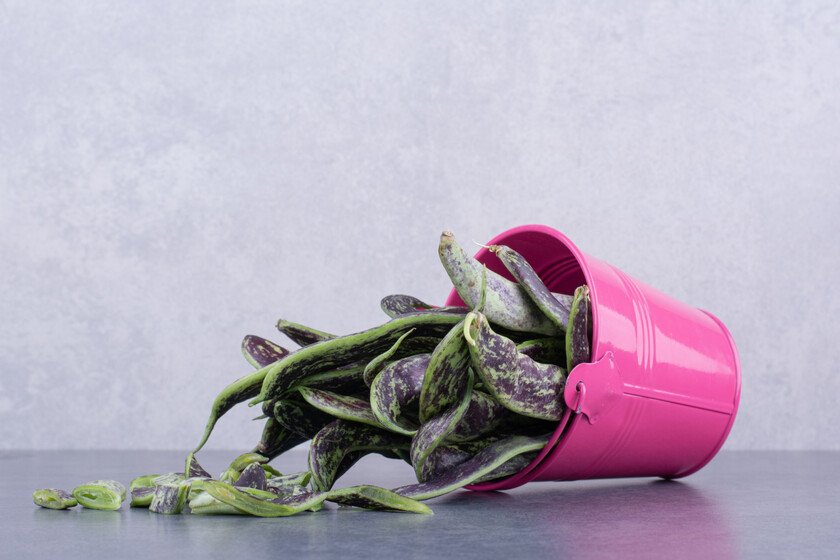 Cómo revivir tus plantas secas tras las vacaciones de verano