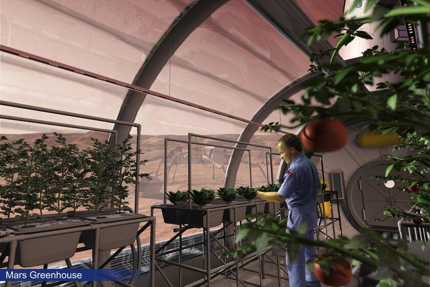 Hongos: la clave para cultivar comida en la Luna y Marte