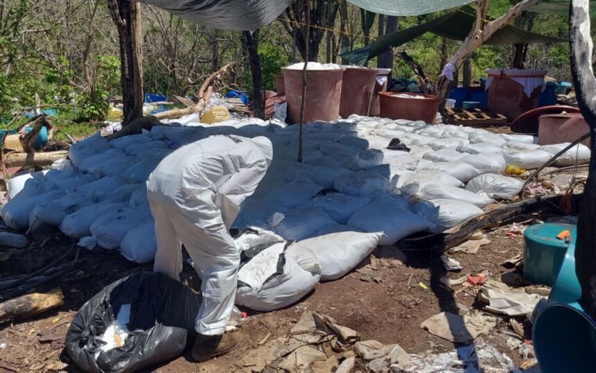 México: Aseguran 16 toneladas de metanfetamina en Sinaloa, un riesgo para la sociedad
