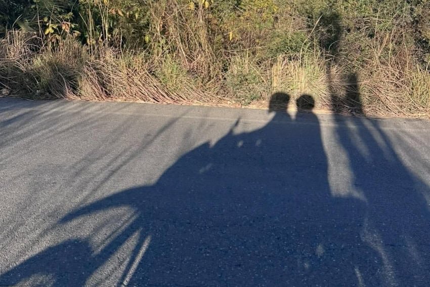 Mexico's Throttle Therapy: Boosting Well-Being Beyond Miles
