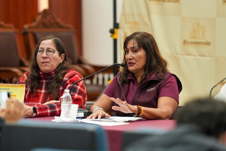 Celaya, Gto.: 60 nuevas vacantes y créditos para el campo local