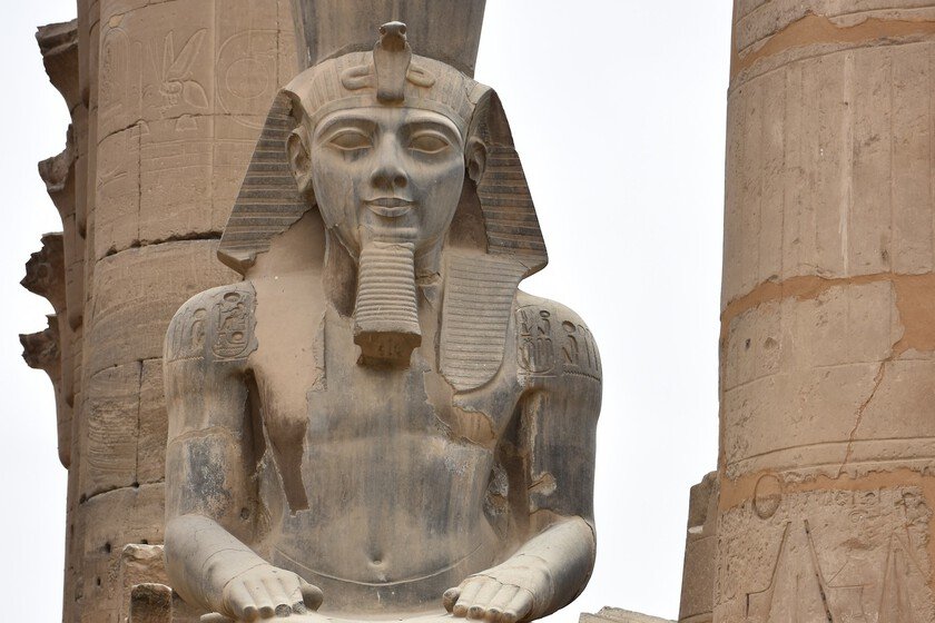 Descubren escultura de Ramsés II mientras cultivan en el jardín