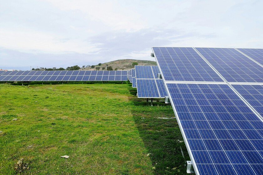 Electricidad barata: ¿cómo afecta la rentabilidad de nuevos parques?