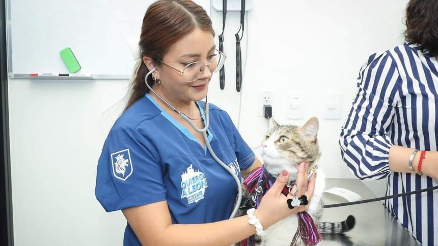 León, Gto. alcanza 135 mil esterilizaciones y 34 mil consultas veterinarias