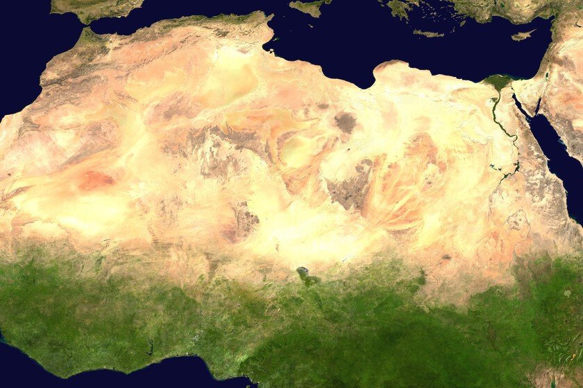 Muralla Verde en el Sáhara: África avanza con 100 millones de árboles