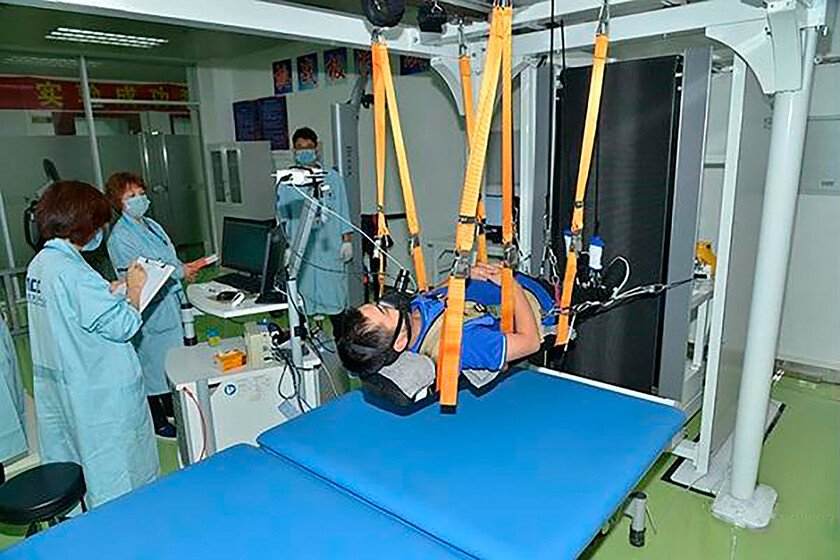 Vida autónoma por 30 días: descubre la nueva tecnología de soporte vital